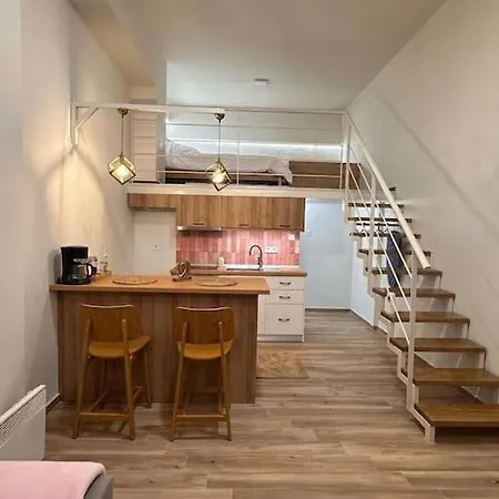 Apartment Cozy Loft